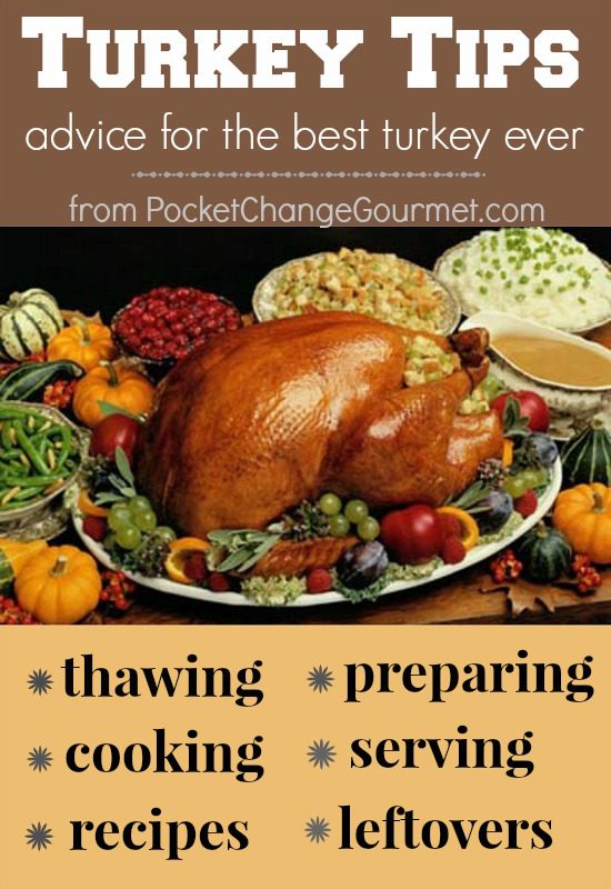 Turkey Tips | thawing, preparing, cooking, serving, recipes and leftovers | from PocketChangeGourmet.com