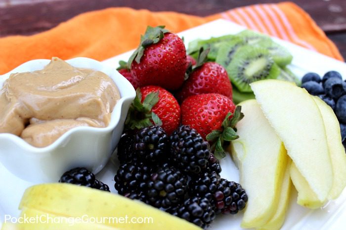 Biscoff Cinnamon Yogurt Fruit Dip :: Recipe on PocketChangeGourmet.com