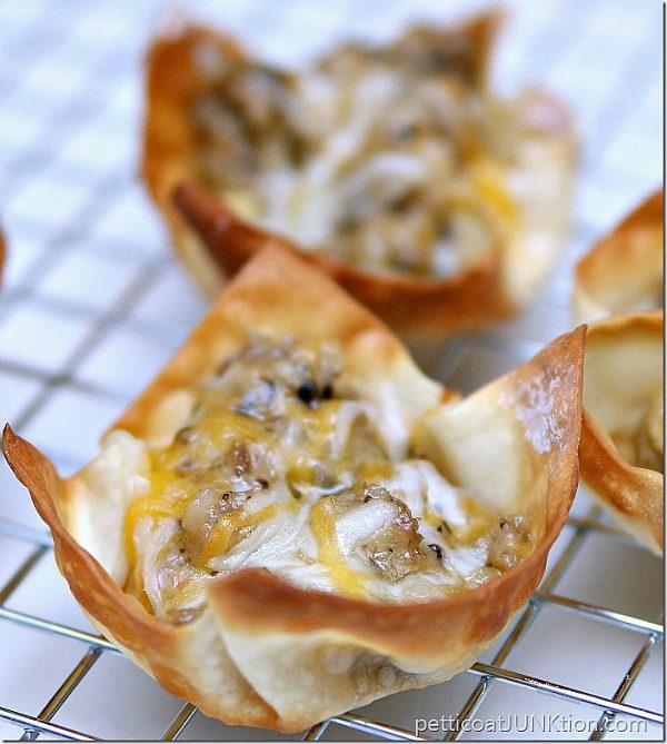 favorite-Cheesy-Sausage-Wonton-Appetizers-Petticoat-Junktion-party-recipes-8_thumb