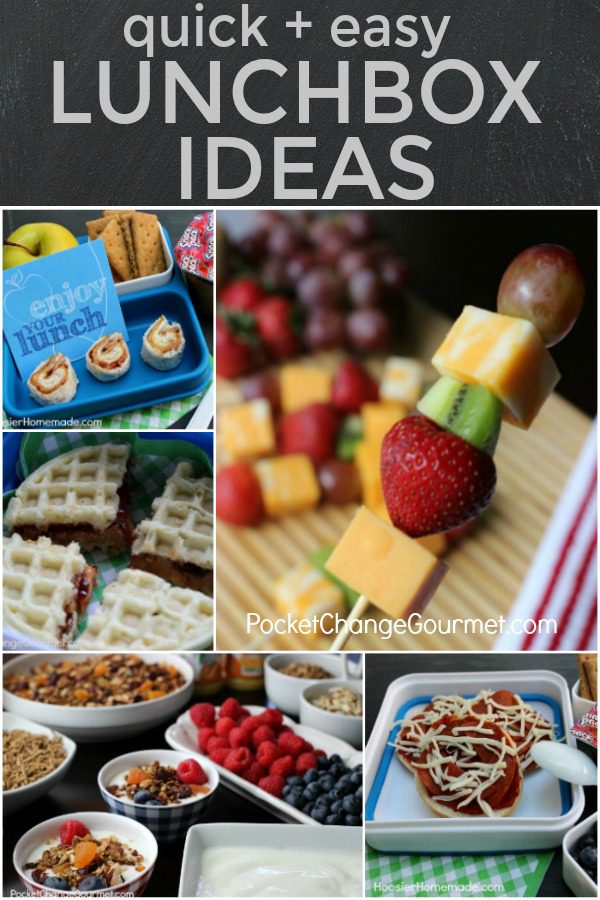 LUNCHBOX IDEAS -- Tired of the boring lunch? Do your kids hate eat the same thing everyday? Try one of these Quick and EASY Lunchbox Ideas!